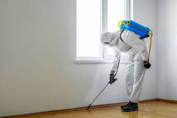 Best Pest Prevention Services  in Wellsburg, WV